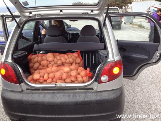 potato 009